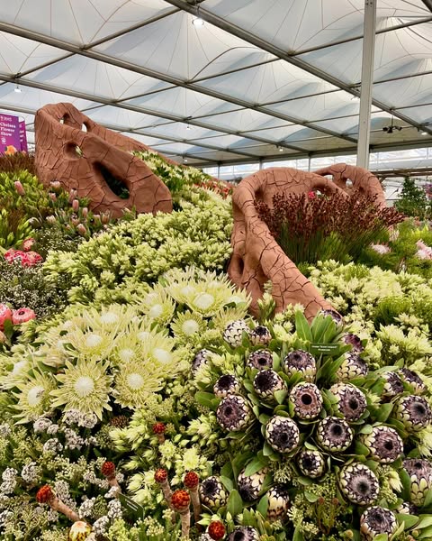 chelsea flower show 2024 (1)