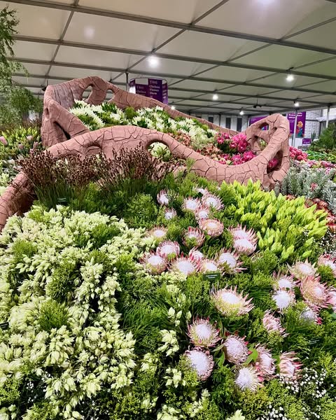 chelsea flower show 2024 (2)